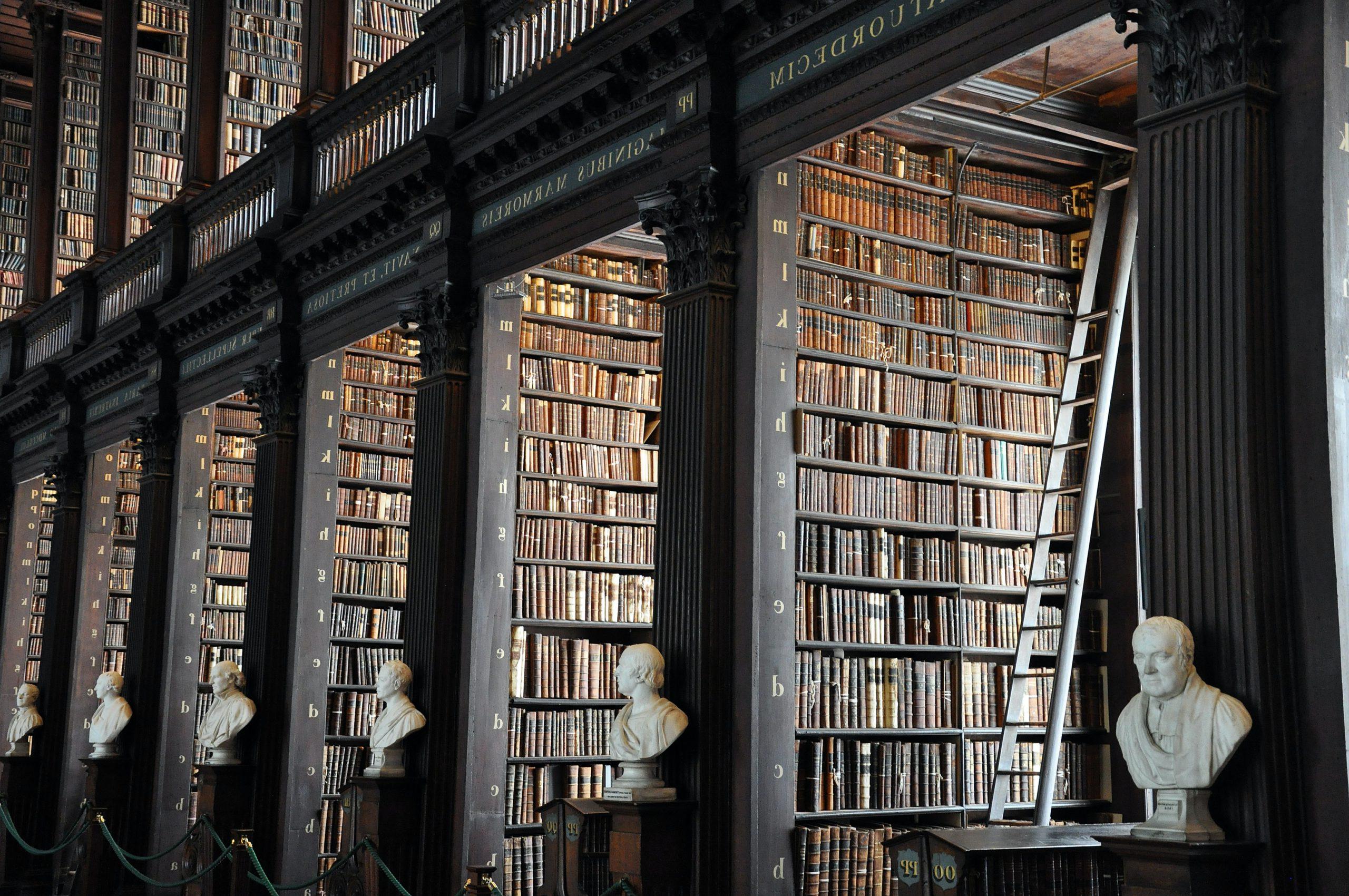 Library with books on black shelves and busts in front of pillars. Taken by Alex Block